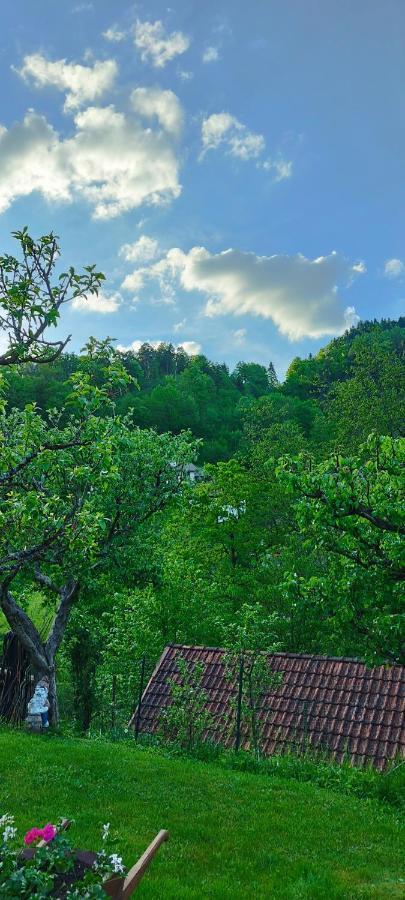Apartma B & O Idrija Dış mekan fotoğraf