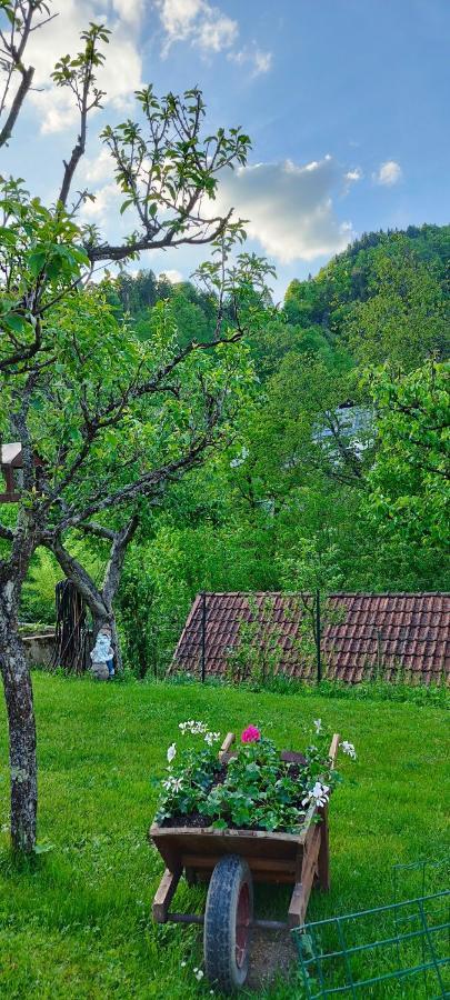 Apartma B & O Idrija Dış mekan fotoğraf