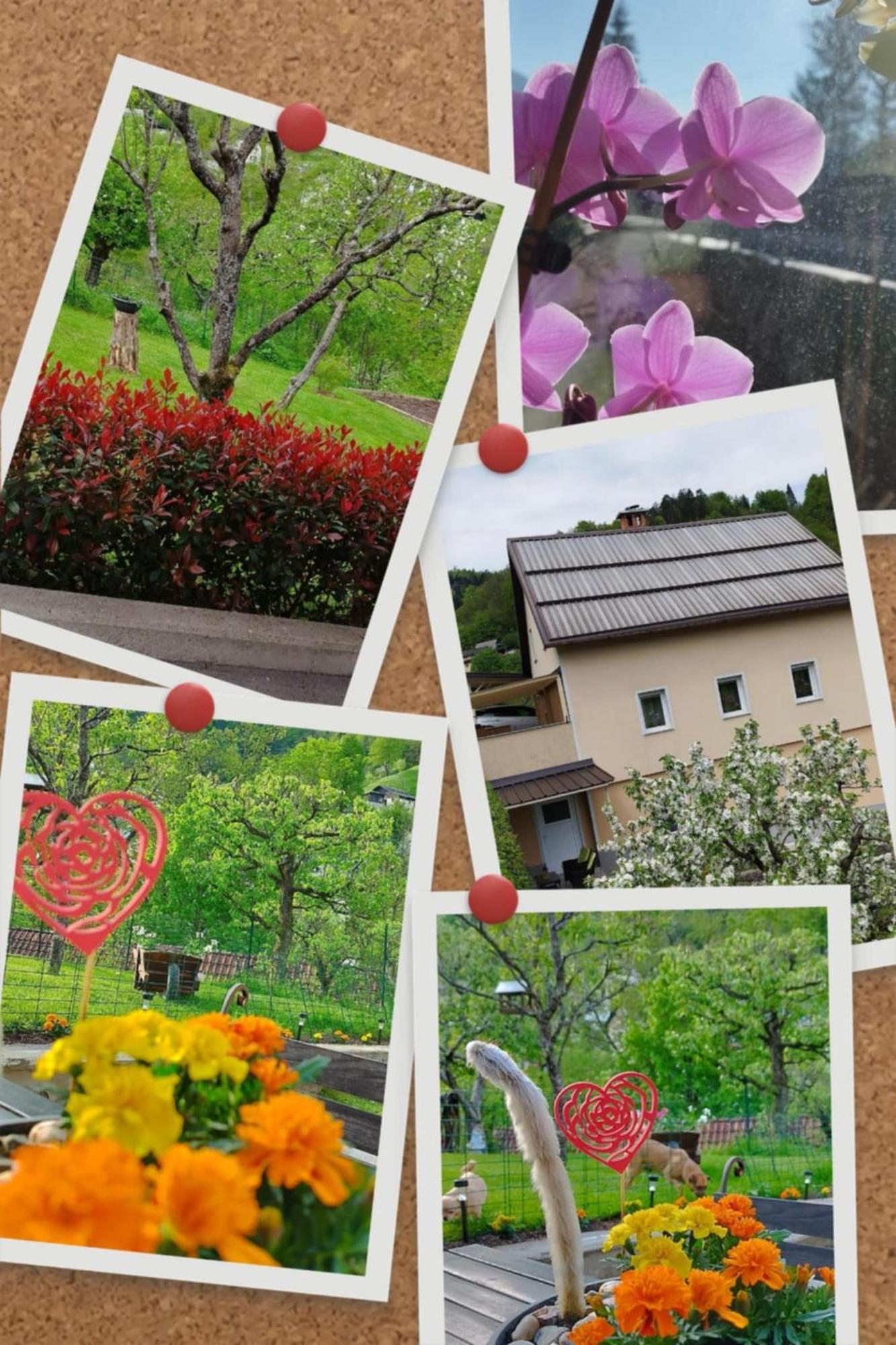 Apartma B & O Idrija Dış mekan fotoğraf